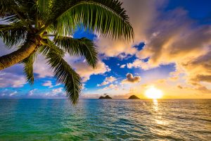 Overstock Announces Alaska as State Conducting Most Cryptocurrency Purchases